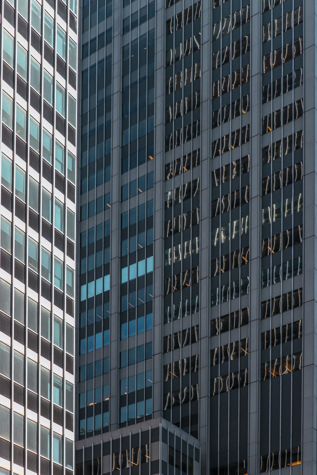 Contemporary Architecture