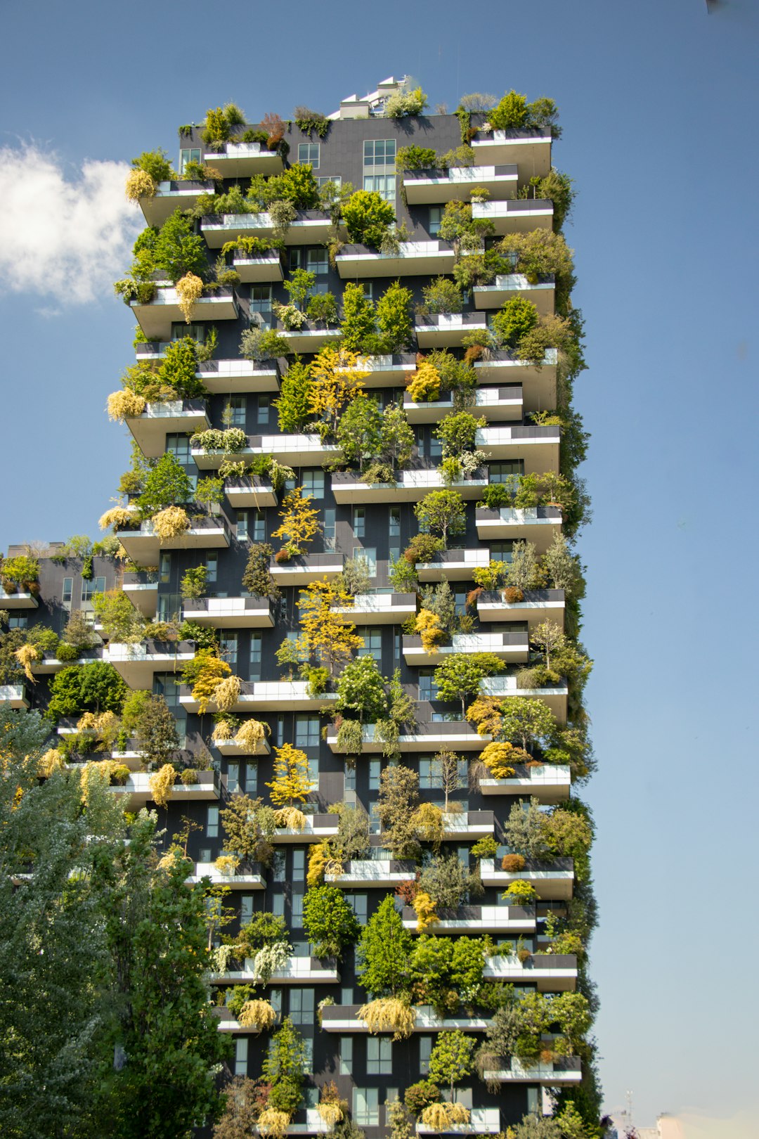 Sustainable Project