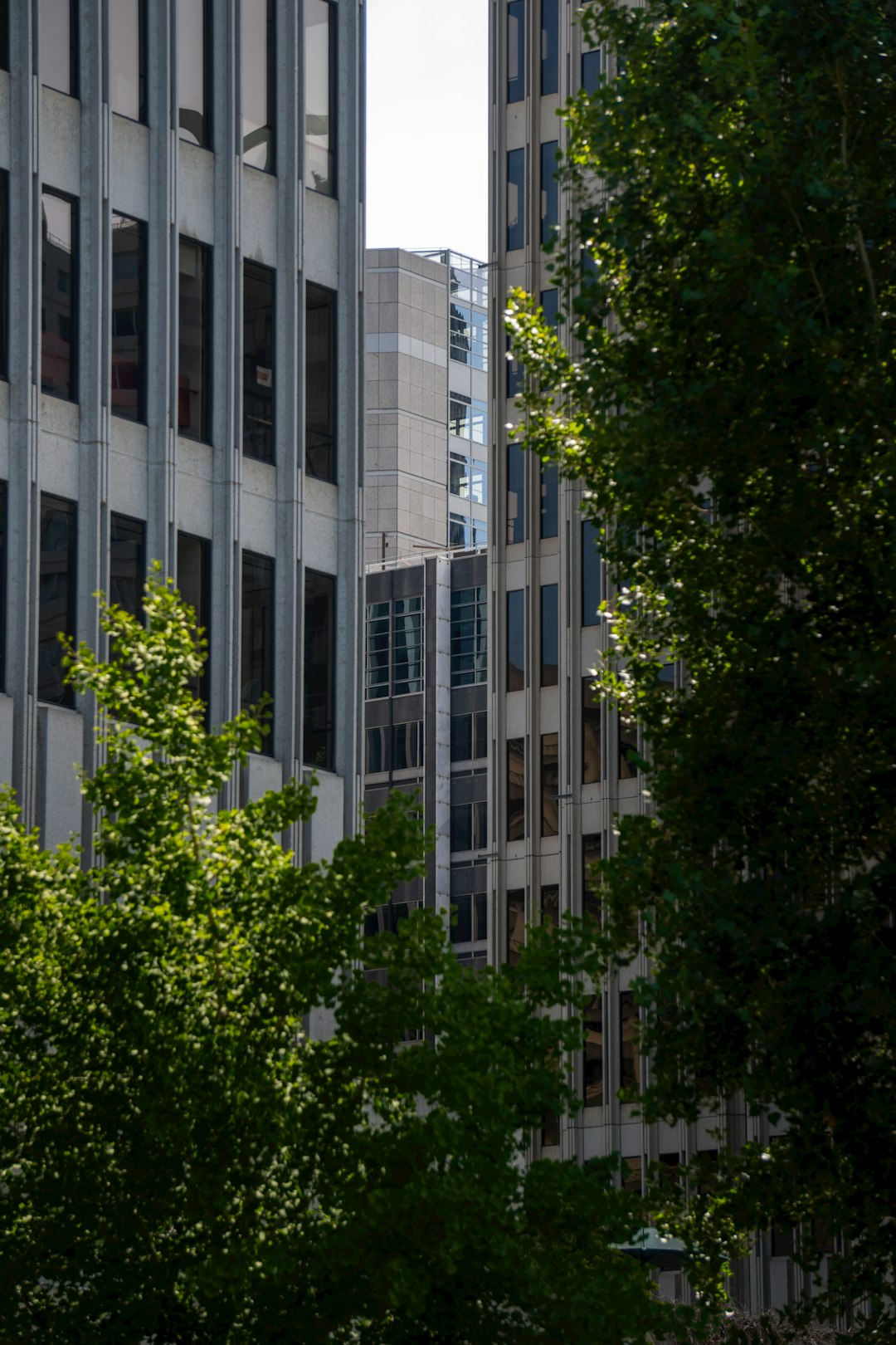 Corporate Headquarters